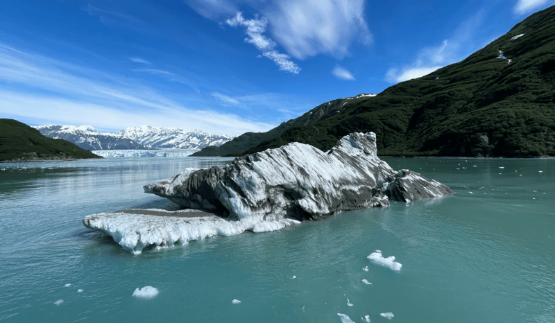 Disenchantment bay in Alaska.