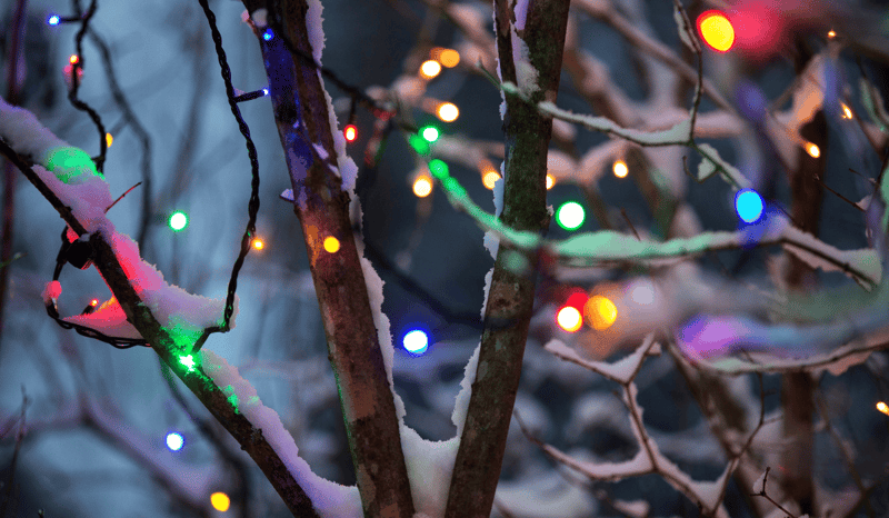 Holiday lights on a snowy tree outside.