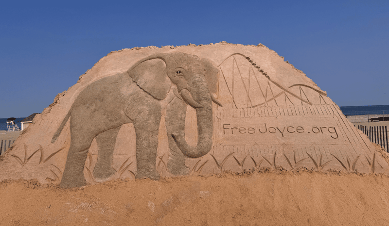 Joyce sand sculpture on Long Branch beach in New Jersey.