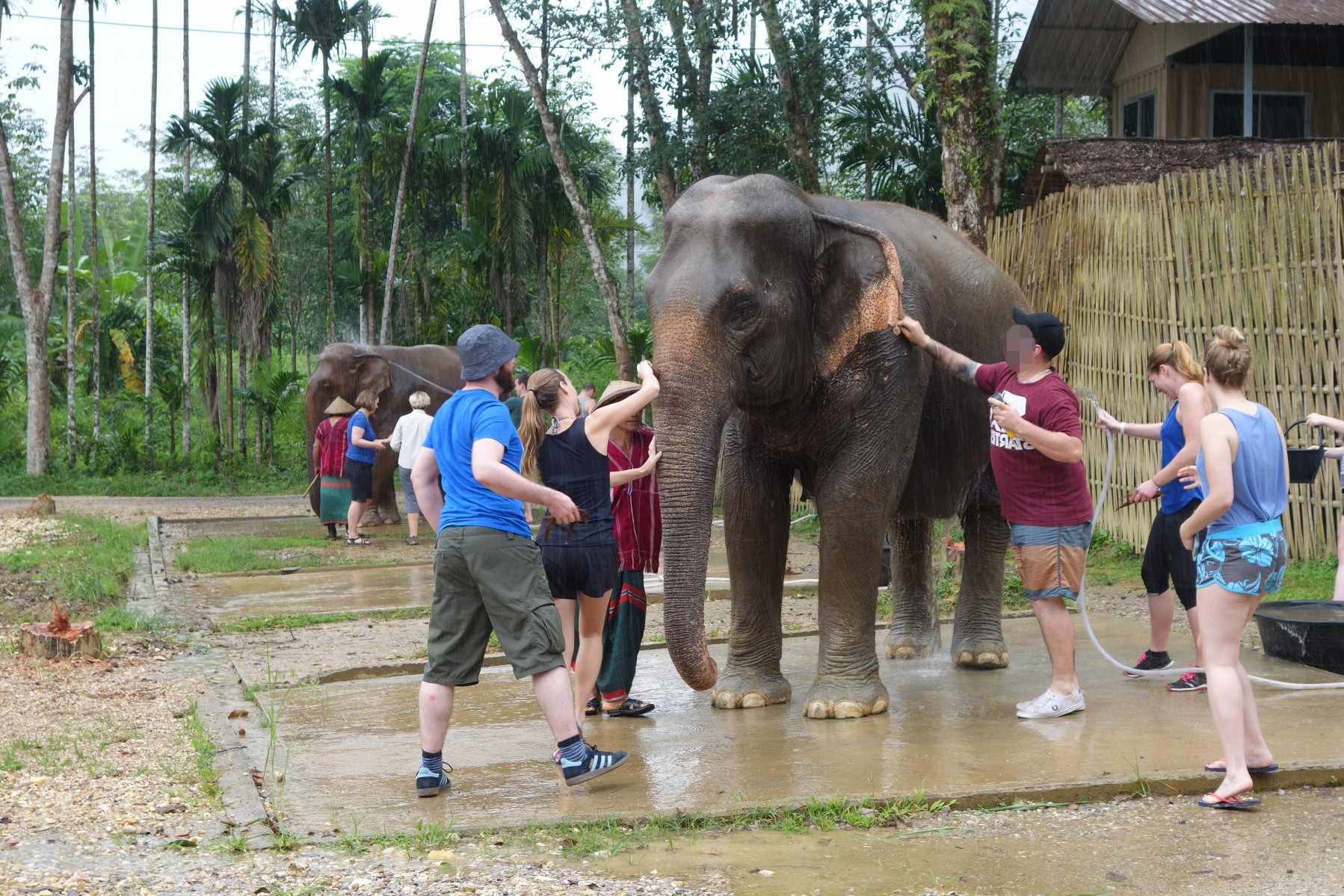 Tourists choosing elephant bathing over elephant riding, unaware of