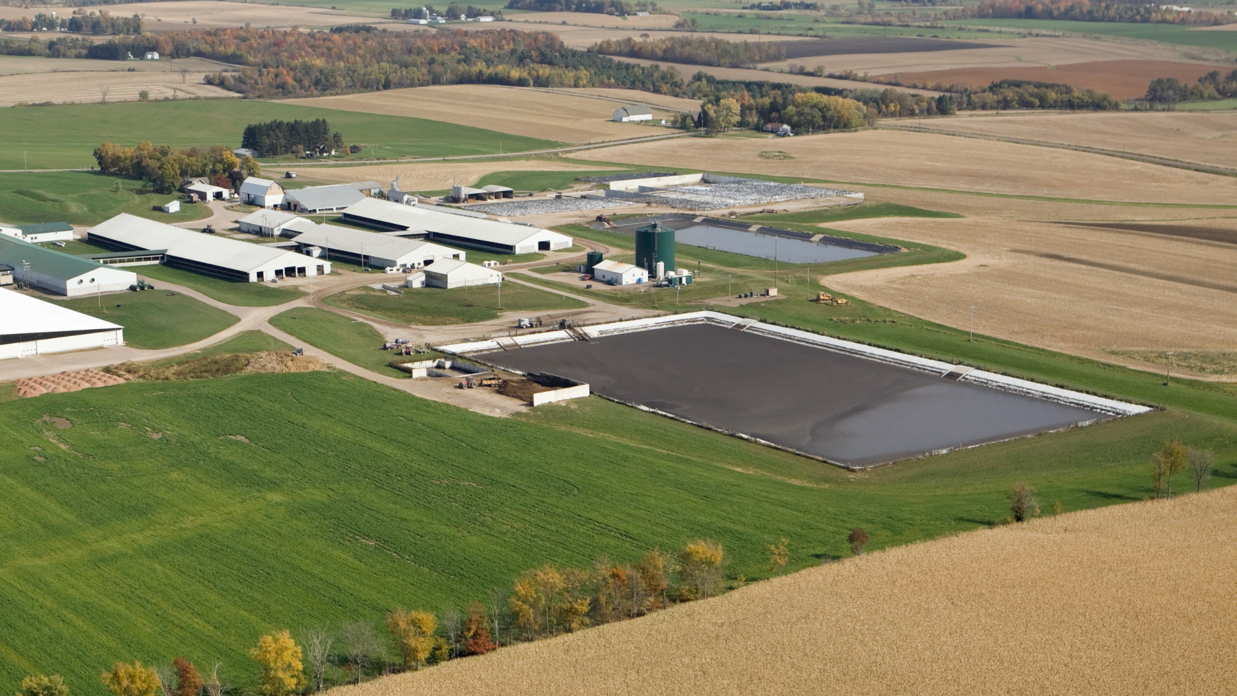 3 Ways that Factory Farming Destroys Our Oceans