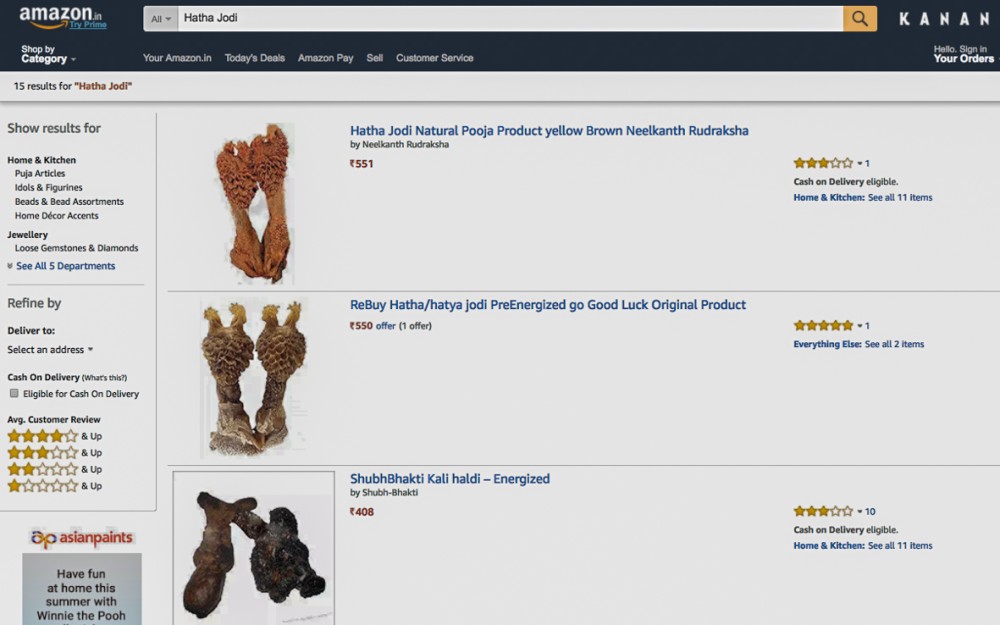 Retailers Caught in Trade of Lizard Genitalia for Religious Rituals