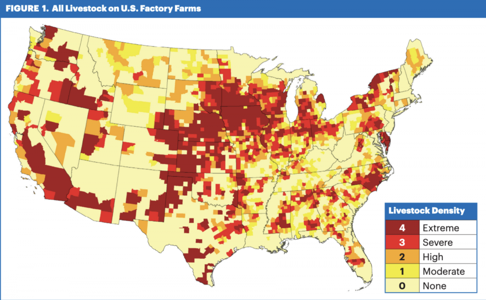 Where Are Factory Farms?