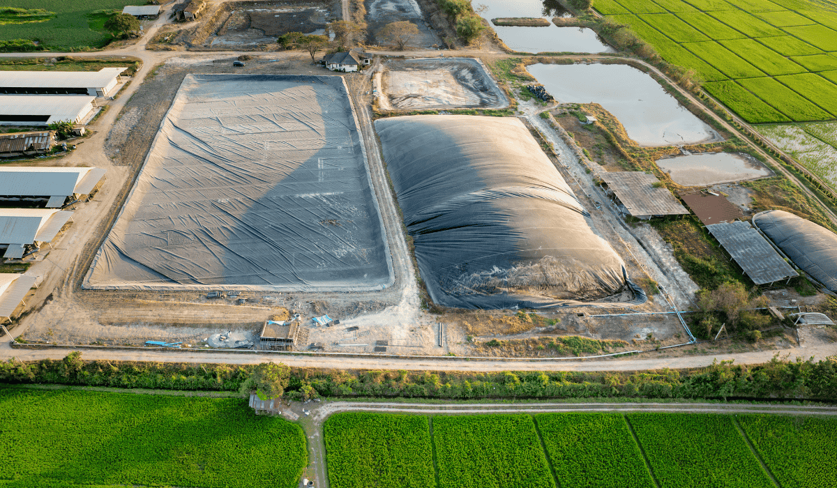 A factory farm.