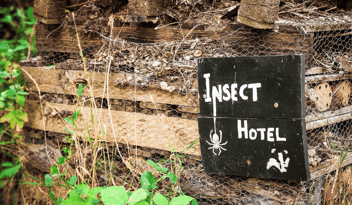 An insect hotel in someone's backyard.