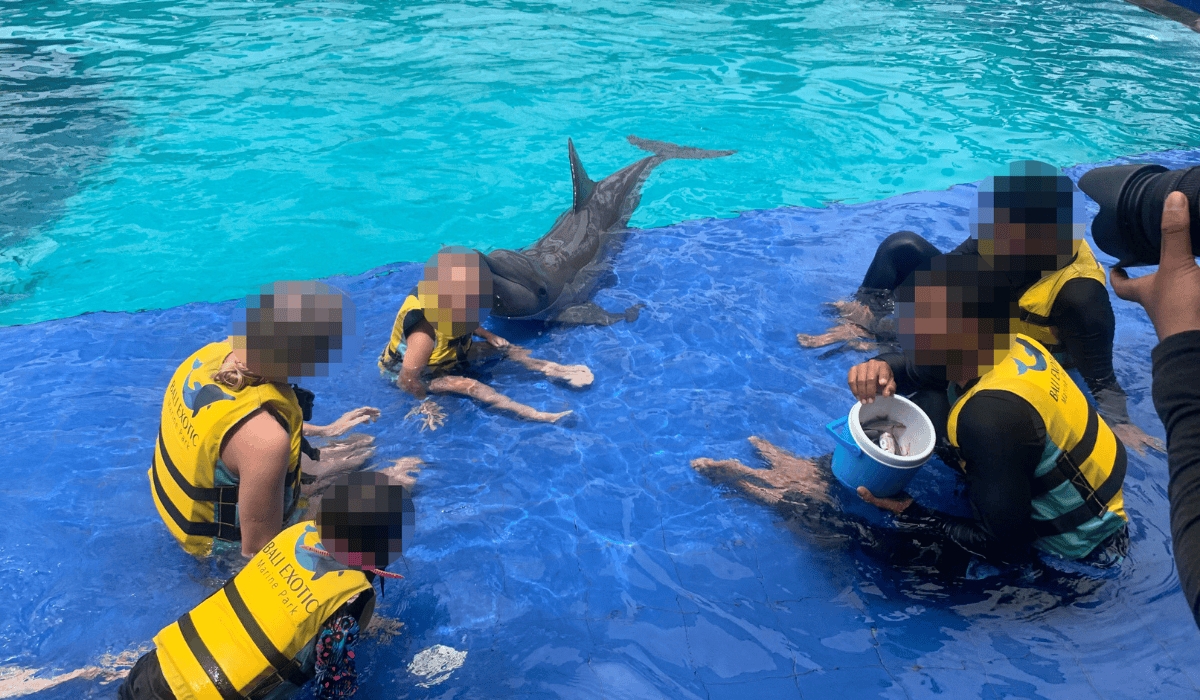 A group of children participating in a swim with dolphins experience at a marine mammal entertainment venue.