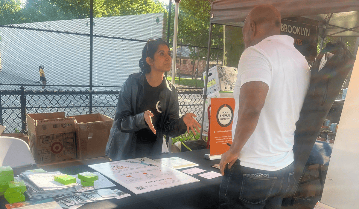 Speaking with a supporter at Black Vegfest about the NYC bird bill.