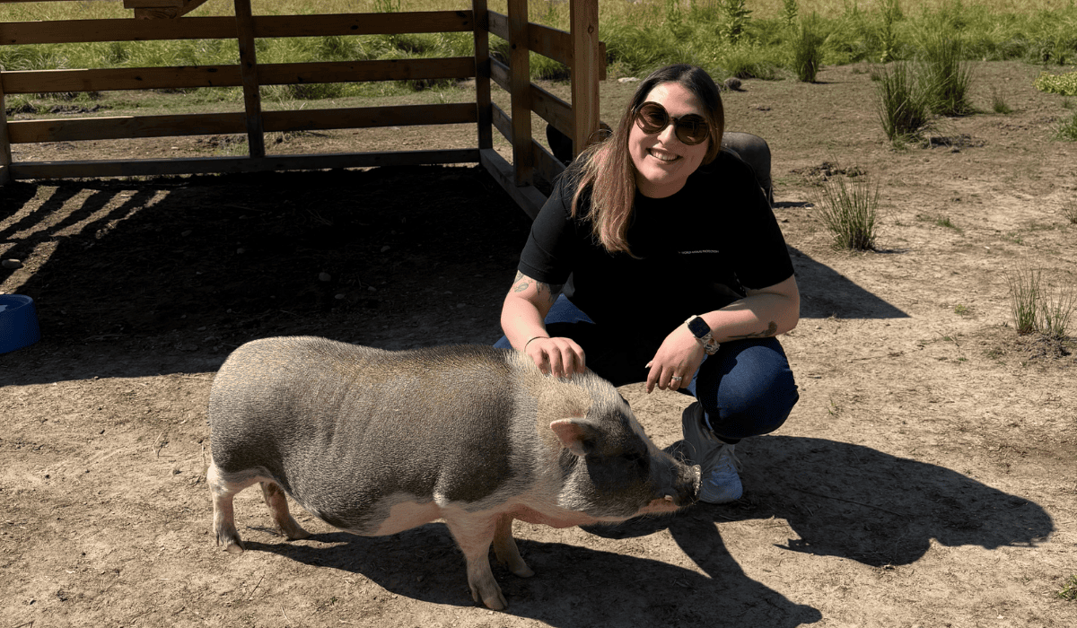Development Manager Kara King petting a pig at Tamerlaine Sanctuary & Preserve.