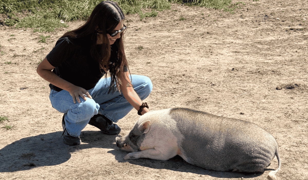 Wildlife Campaign Manager Nicole Barrantes petting a pig at Tamerlaine Sanctuary & Preserve.