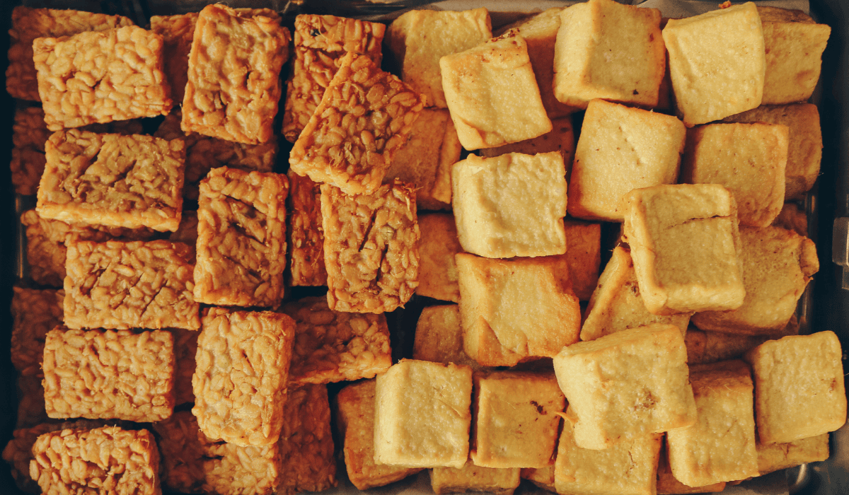 A plate of baked tofu and tempeh.