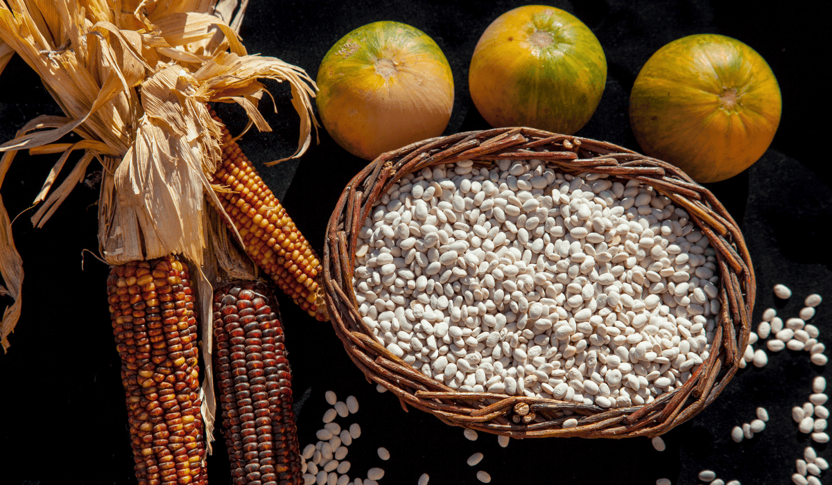 The Indigenous "Three Sisters": beans, corn, and squash.