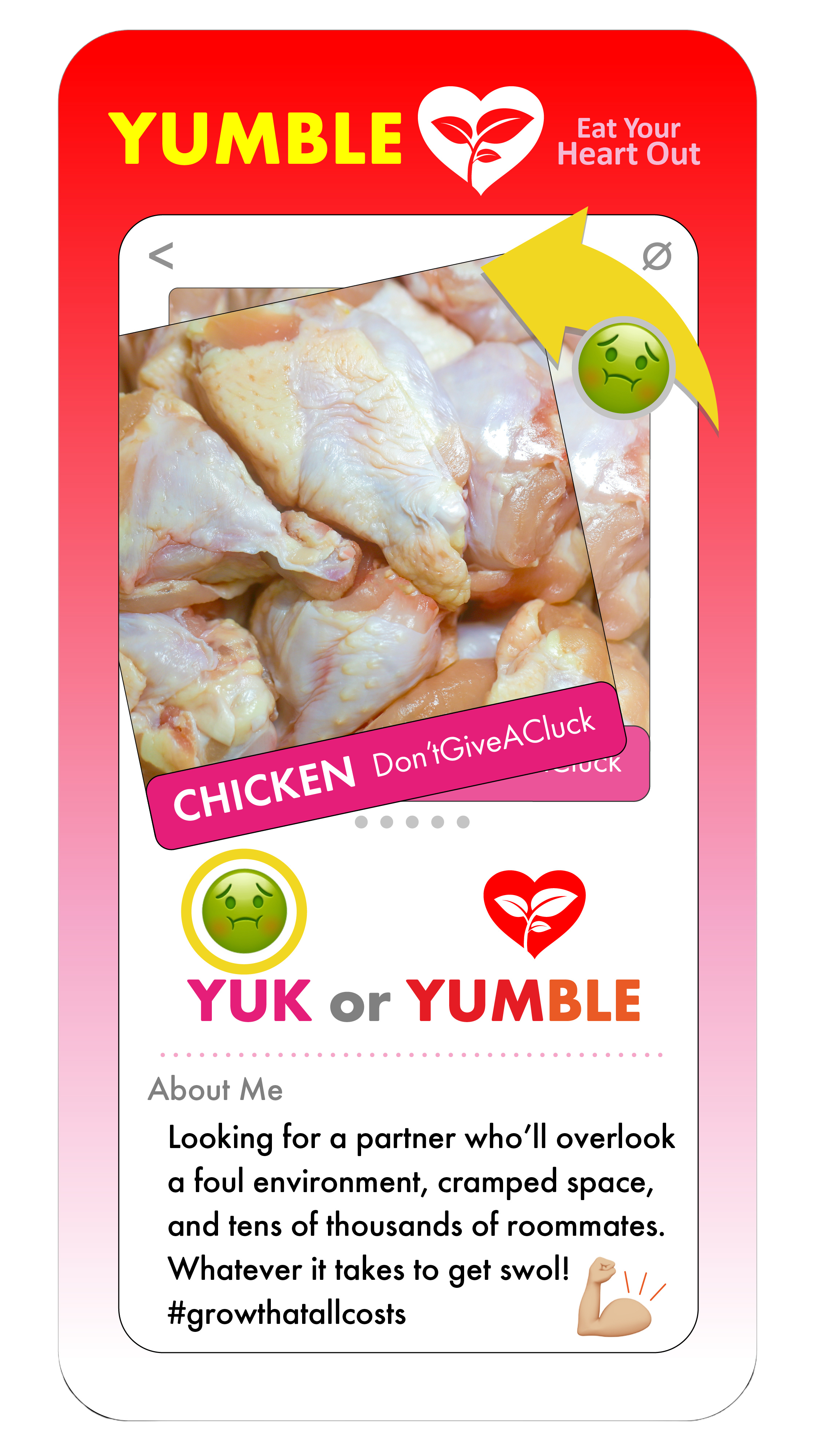  Chicken YUMBLE profile