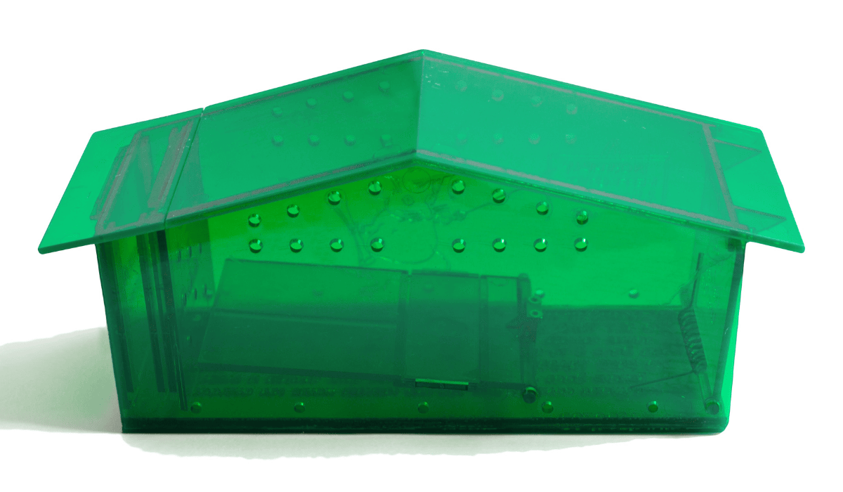 A humane mouse trap in the color green.
