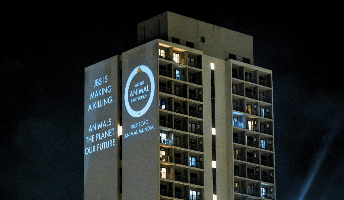 World Animal Protection projections in Brazil for the JBS campaign.