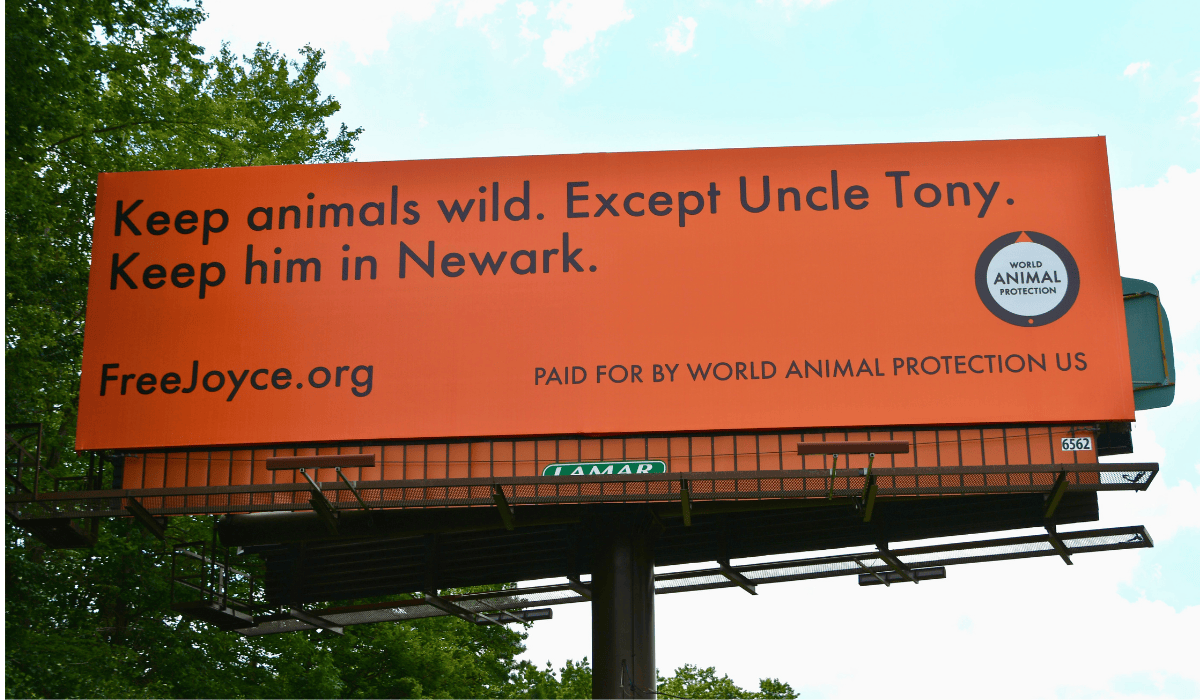 A billboard for the Joyce campaign that says "Keep animals wild. Except Uncle Tony. Keep him in Newark."