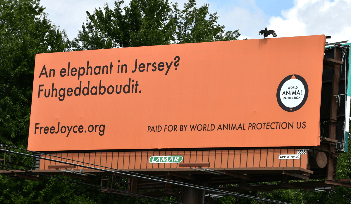 A billboard for the Joyce campaign that says "An elephant in Jersey? Fuhgeddaboutdit."