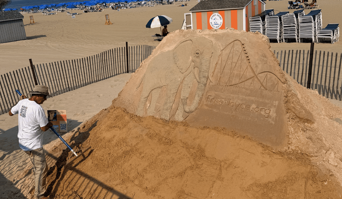 Joyce sand sculpture and sand artist John Gowdy.