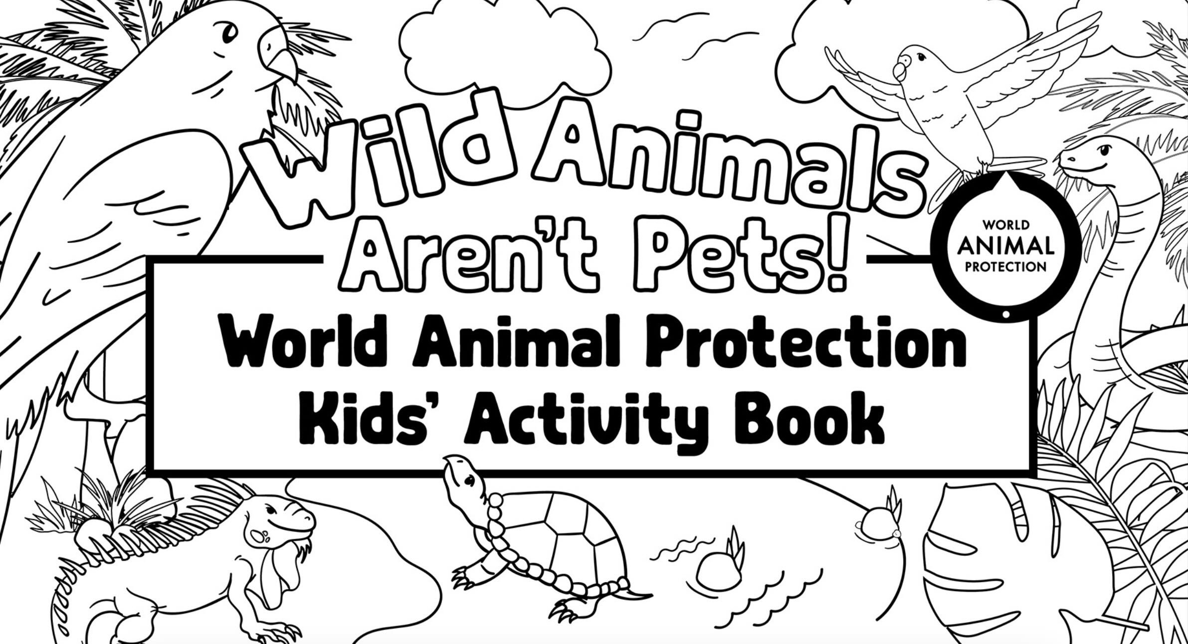 Preview of a the cover page in the activity book.