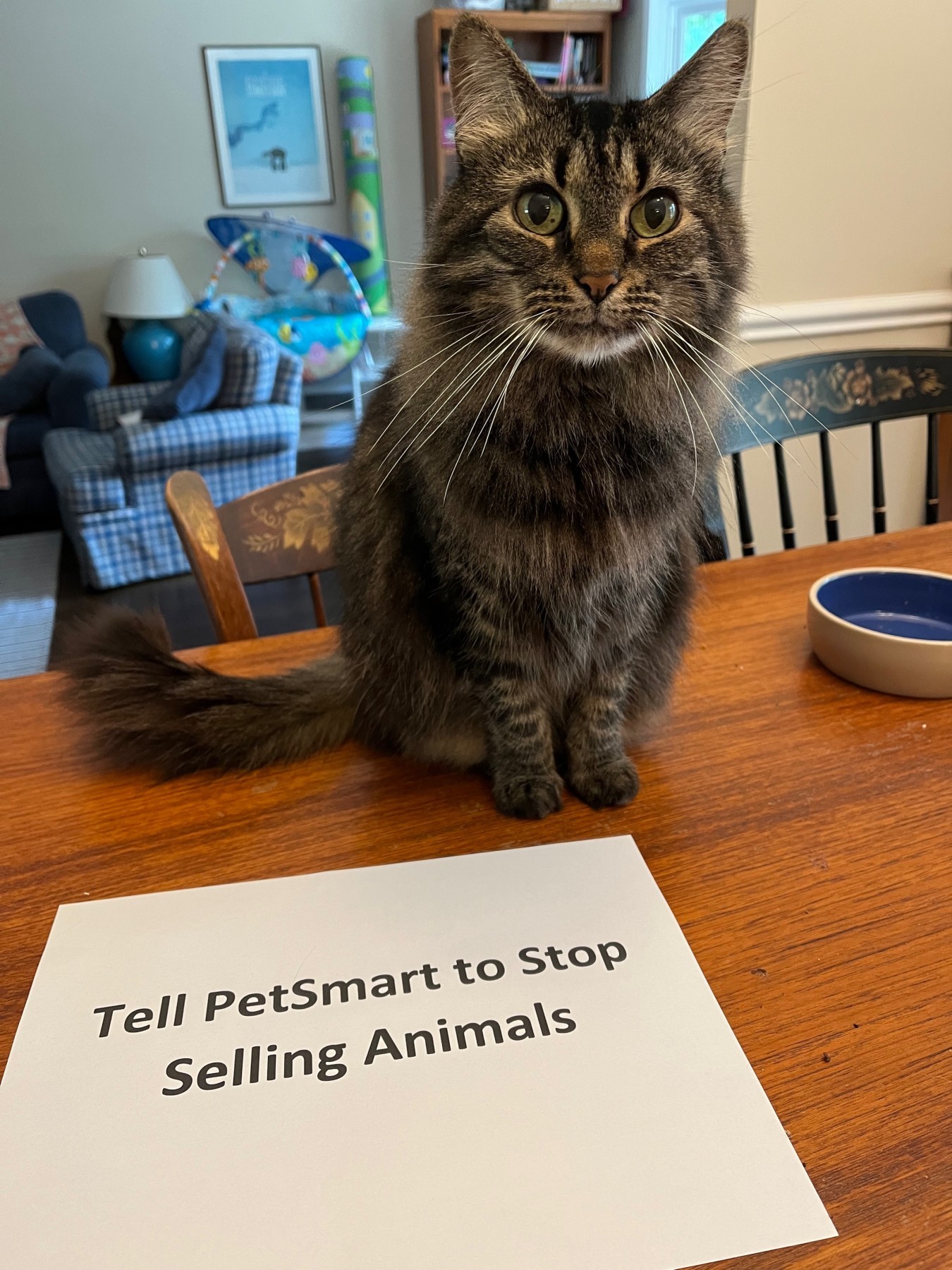 Sign Up to Deliver an Information Packet to PetSmart