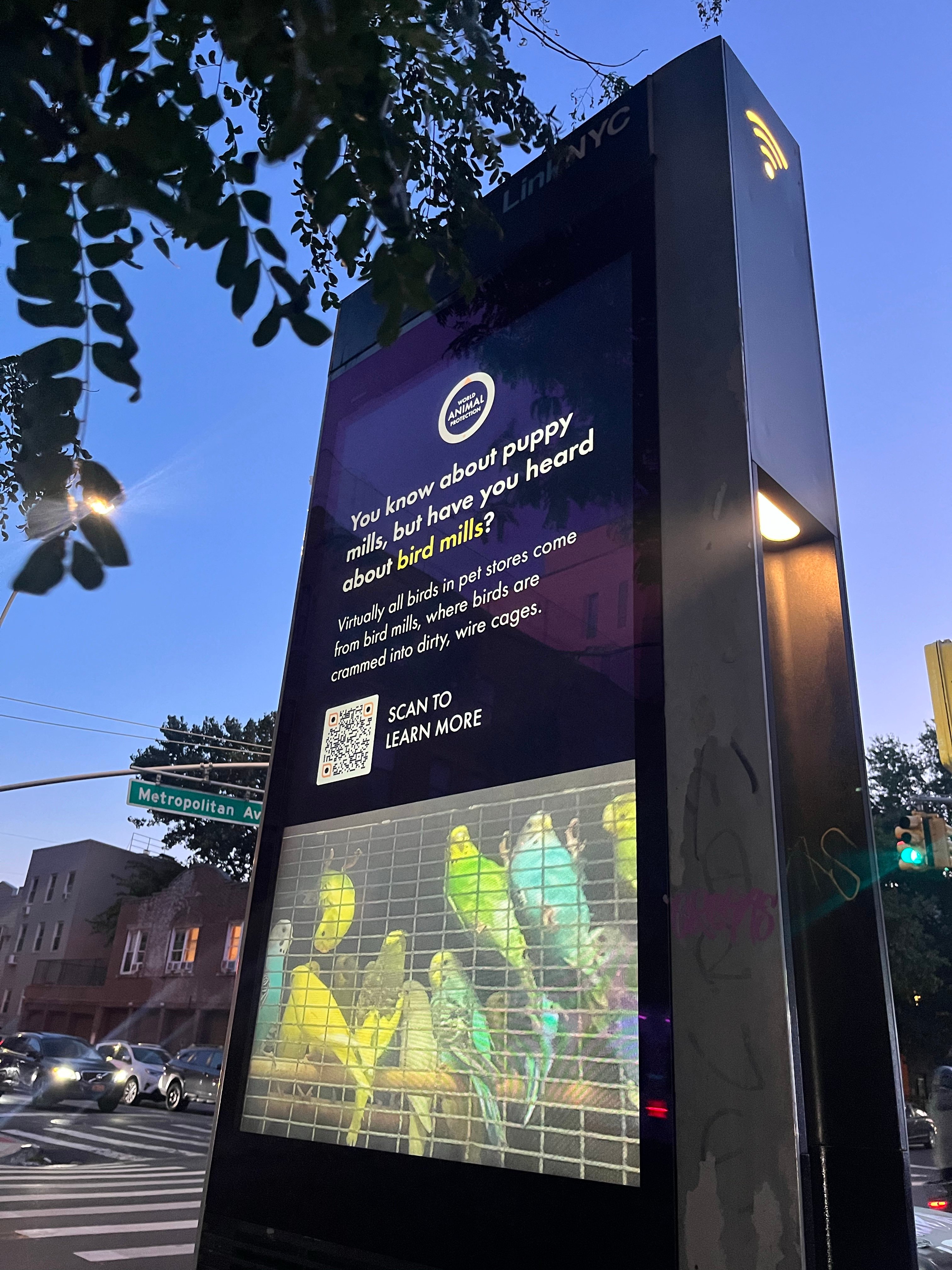 World Animal Protection bird mill ads on a LinkNYC display.