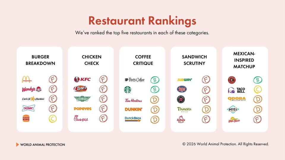 A restaurant rankings scorecard for moving the menu 2026.