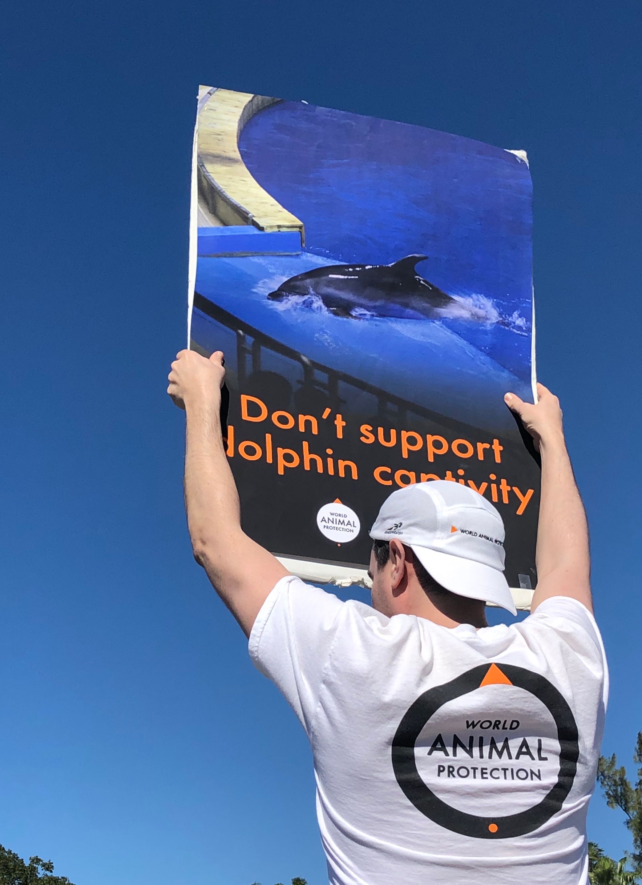 A supporter protesting in Miami.