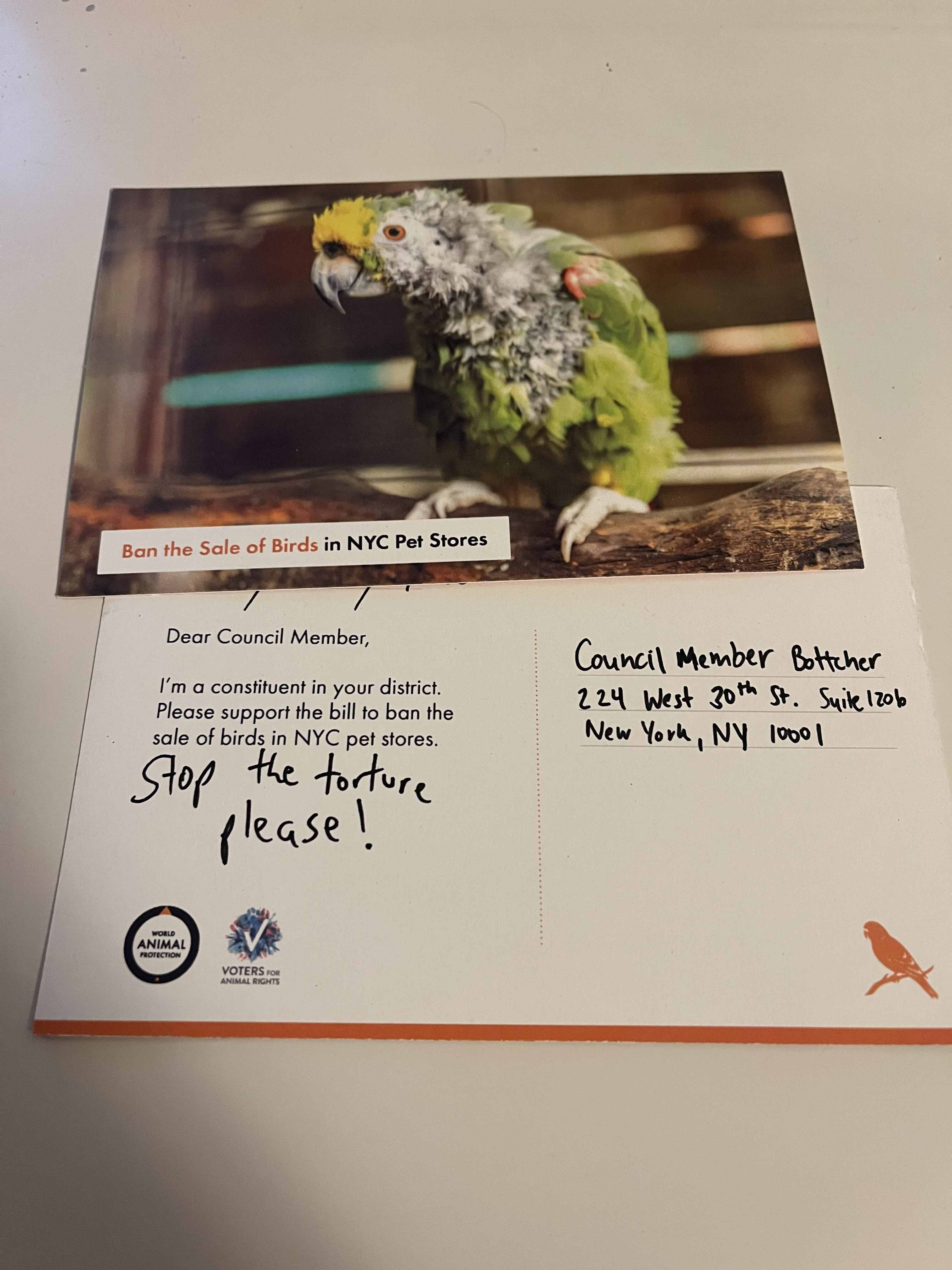 A postcard about our NYC bird sale ban initiatives.