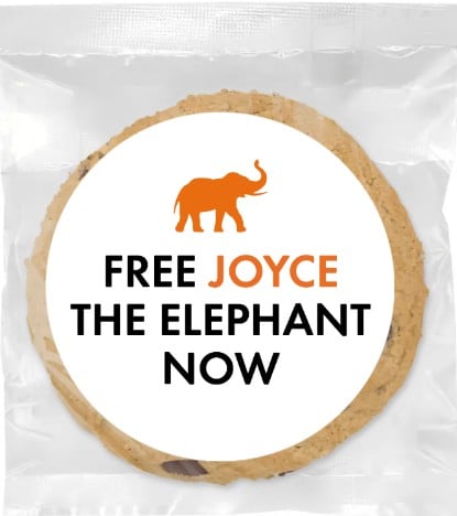 A cookie sent to Six Flags headquarters with "Free Joyce the Elephant Now" on the front.