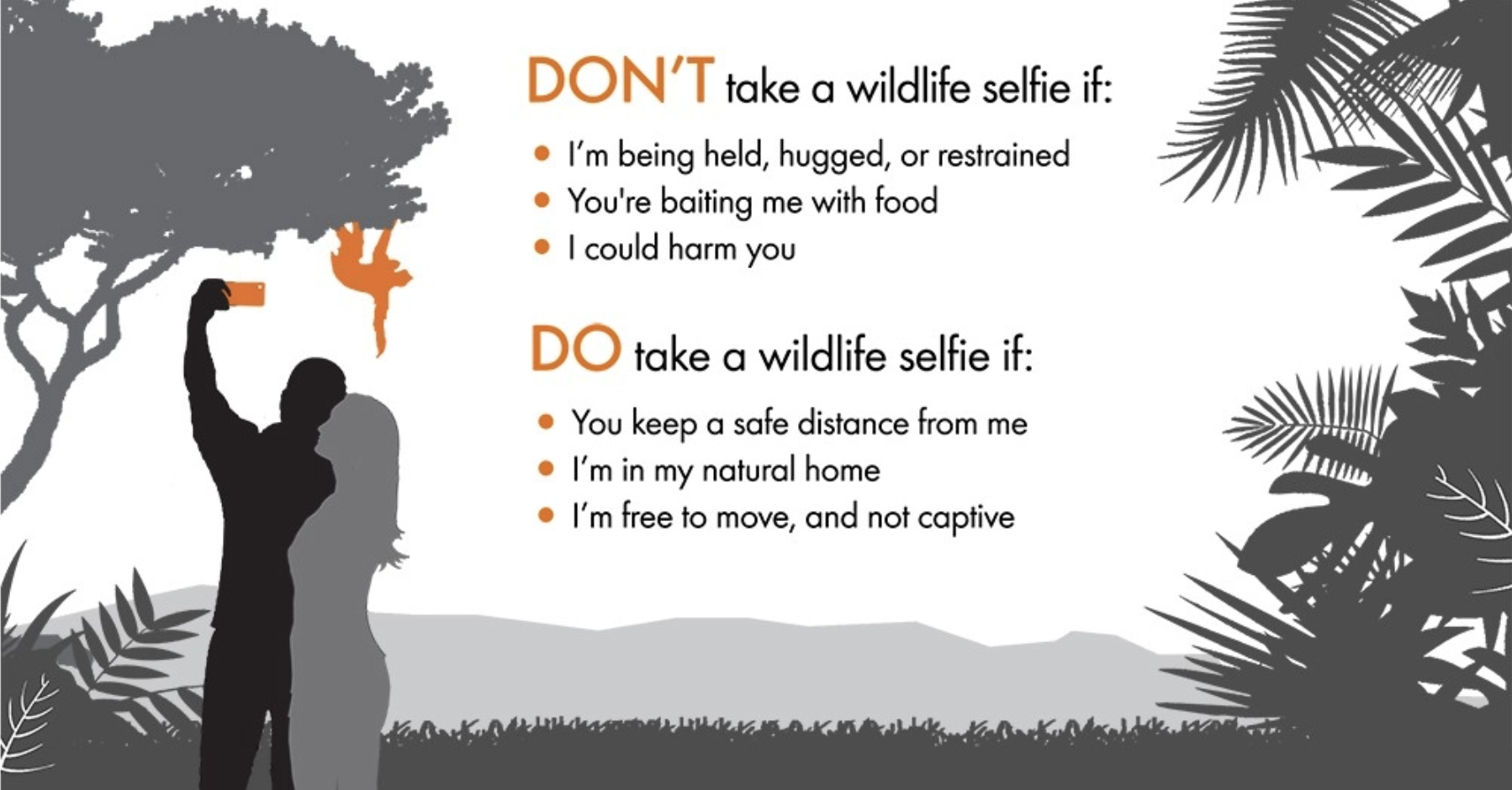 Infographic of the terms of the Wildlife Selfie Code.