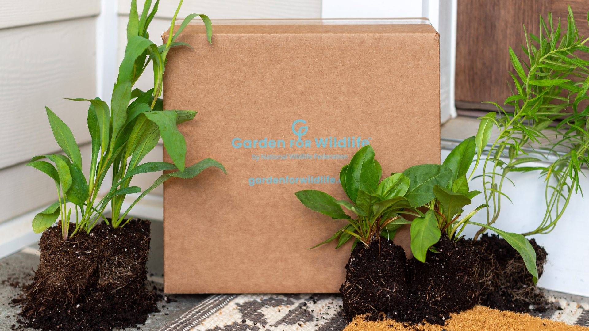 Garden for Wildlife box surrounded by plants.