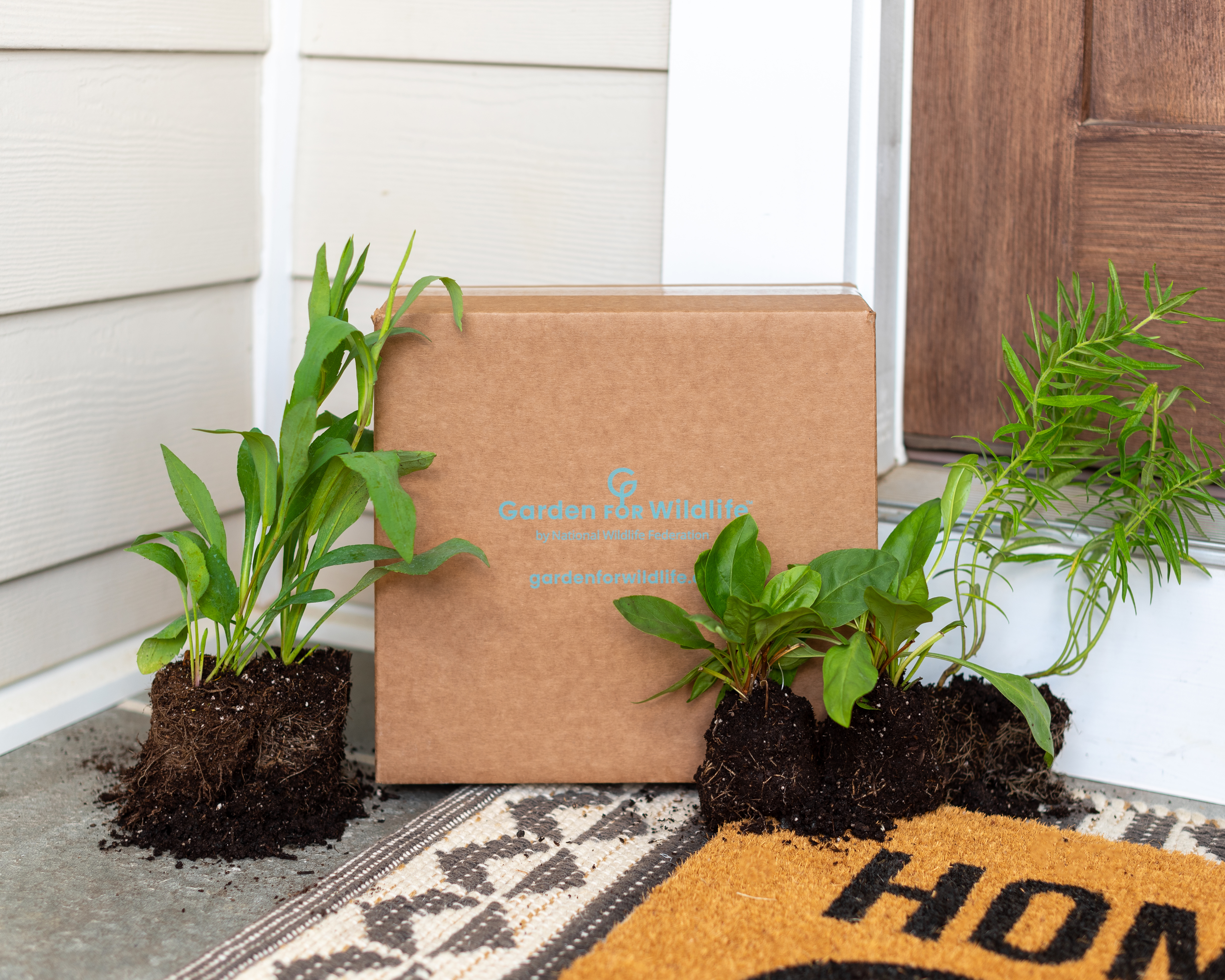 Garden for Wildlife box surrounding by plants on a doorstep outside
